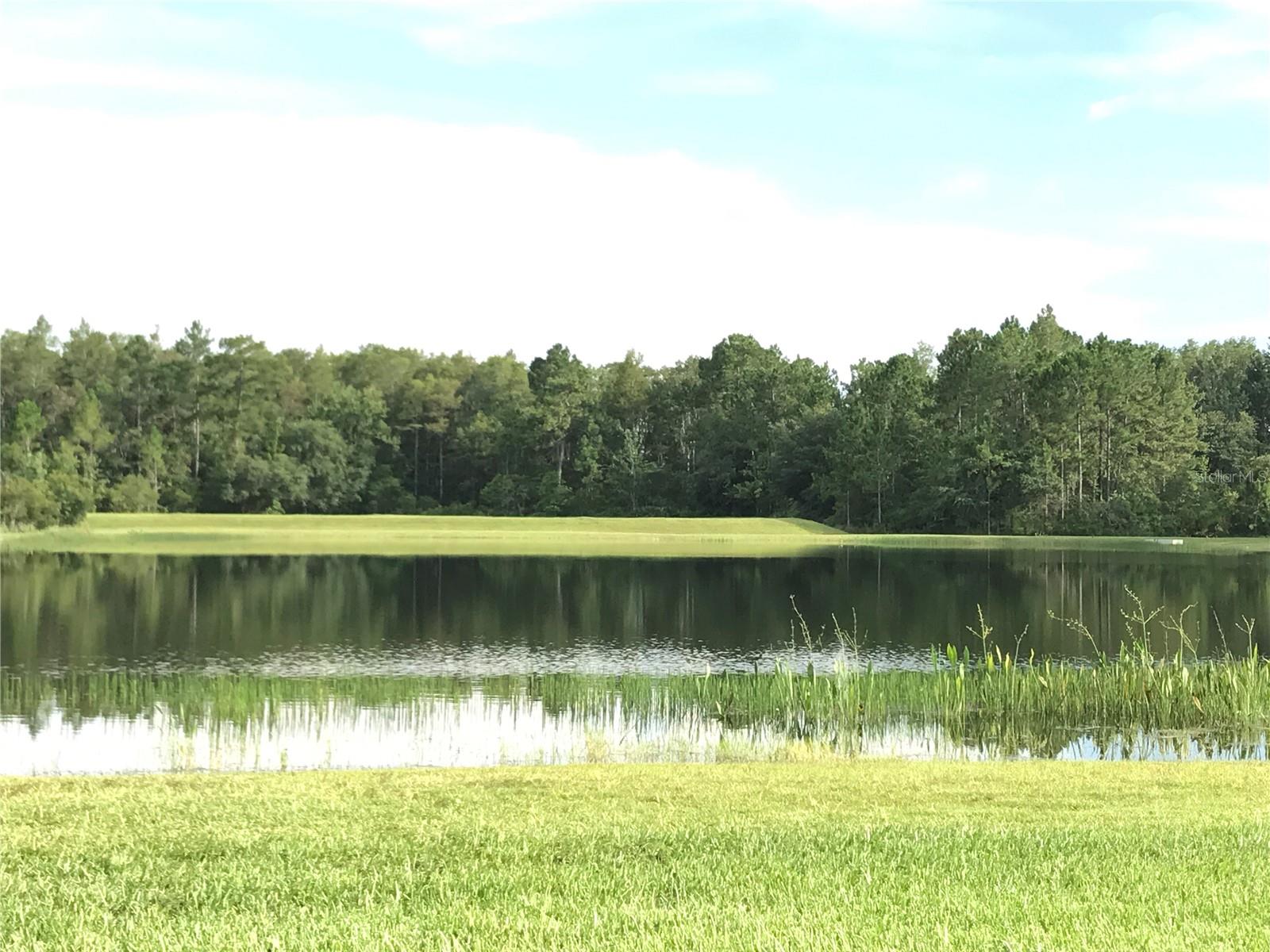 Image 3 of 40 For 1702 Cypress Ridge Drive