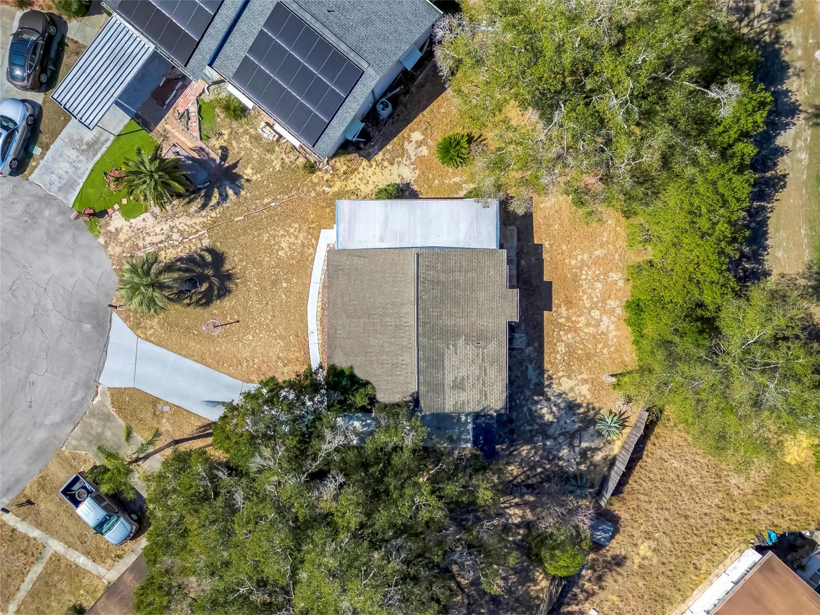 Image 27 of 29 For 13 Palm Court