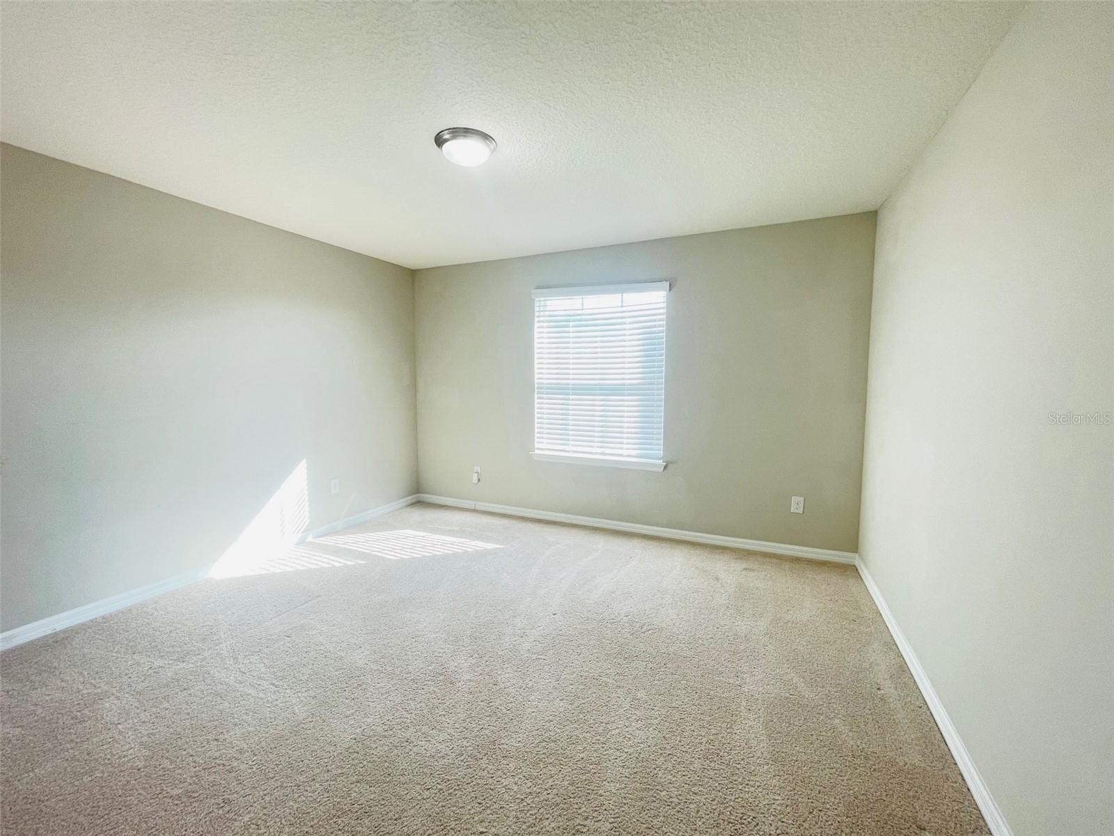 Image 27 of 29 For 8892 Lake Hall Lane