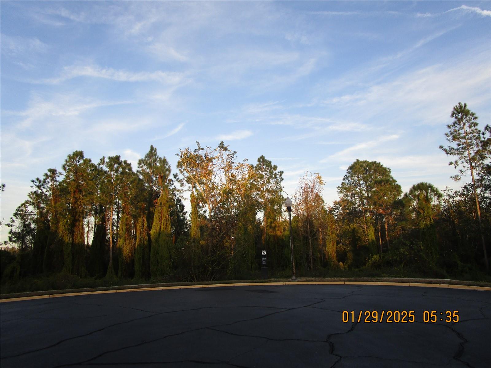 Image 34 of 41 For 9241 Sweet Maple Avenue