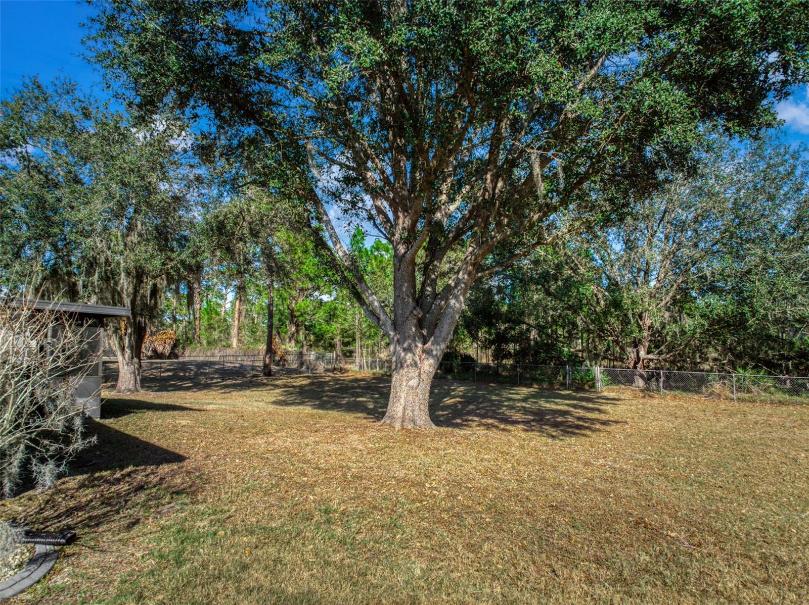 Image 42 of 57 For 5740 Wolf Lake Road