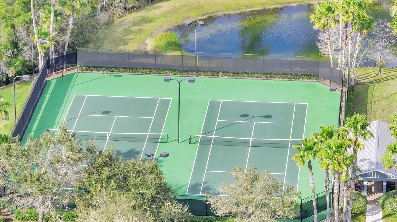 Image 57 of 60 For 2741 Wild Tamarind Boulevard