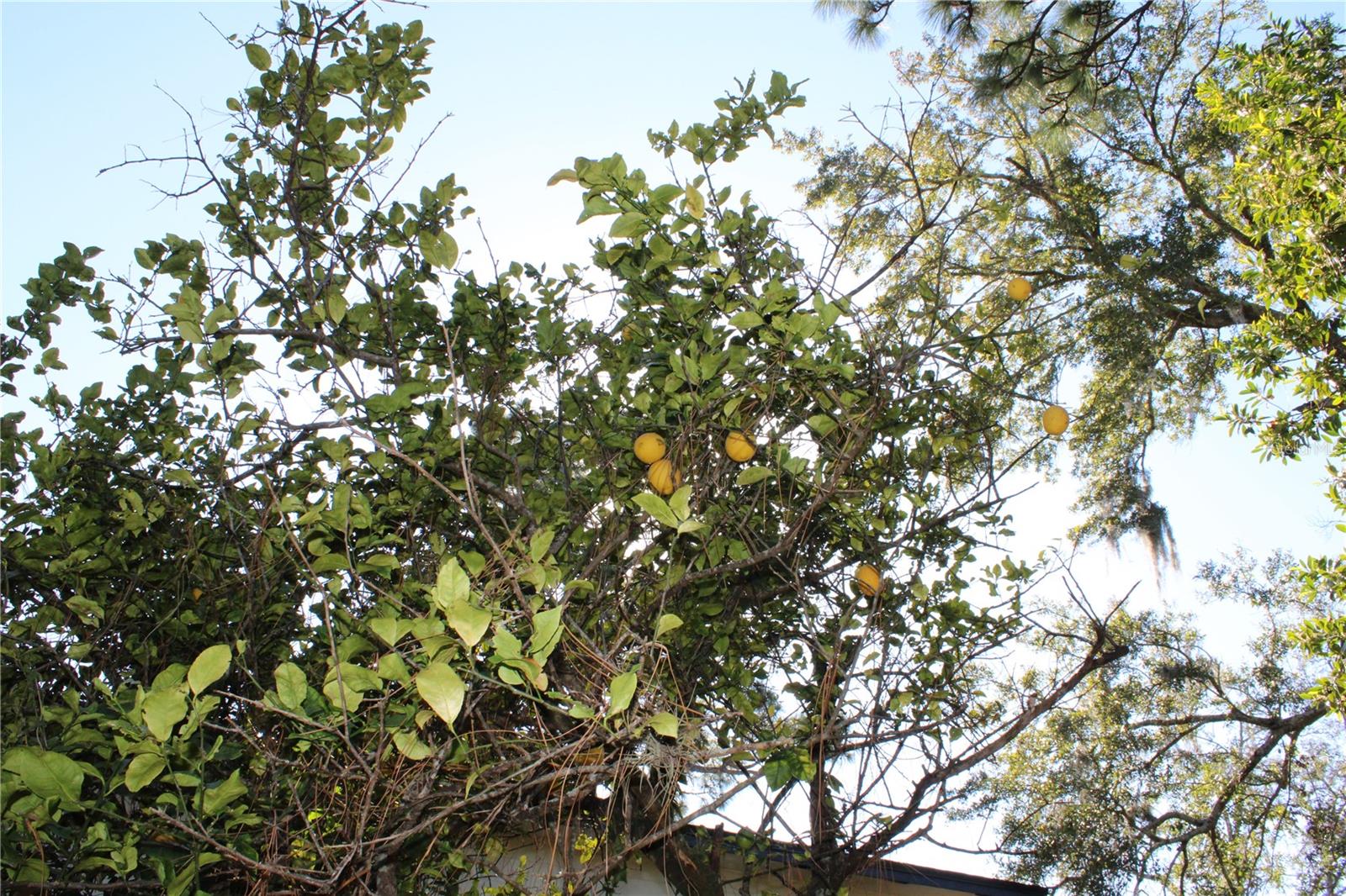 Image 32 of 32 For 627 Prairie Lane