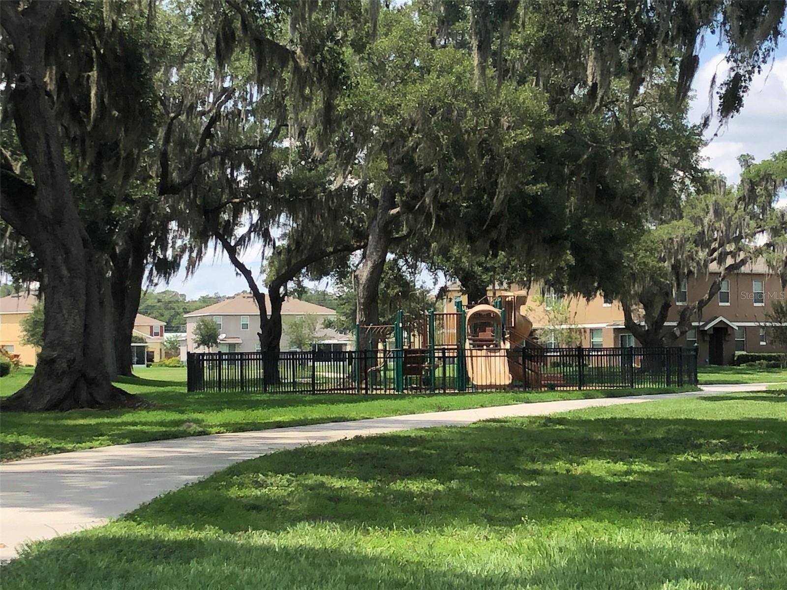 Image 31 of 37 For 1646 Scarlet Oak Loop 58c