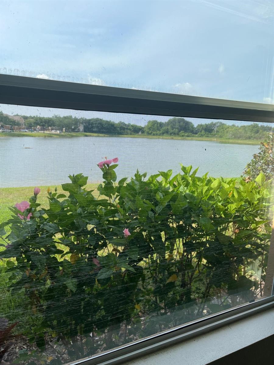 Image 36 of 37 For 1646 Scarlet Oak Loop 58c