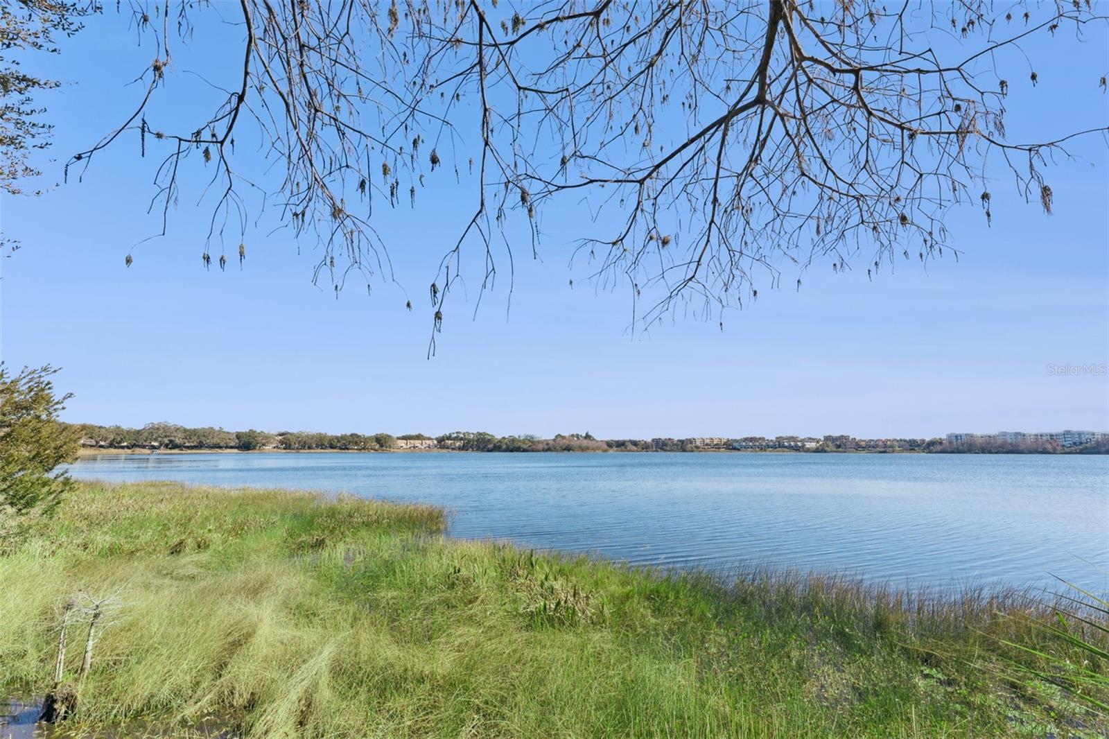 Image 43 of 48 For 7433 Somerset Shores Court