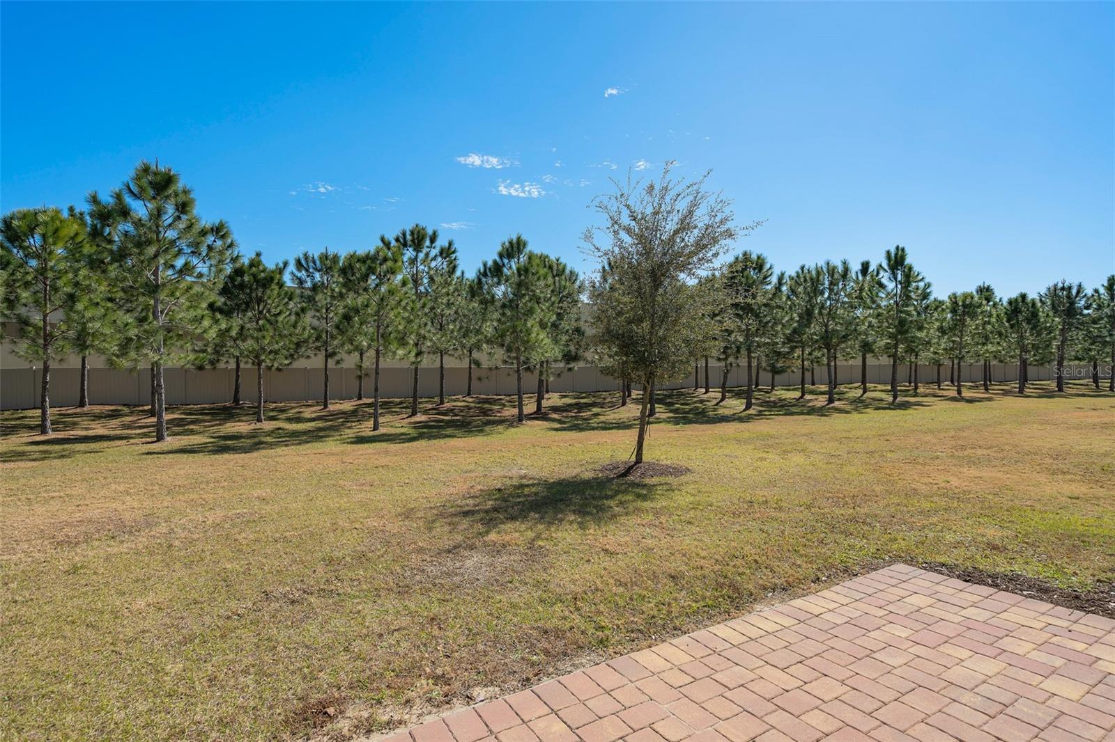 Image 24 of 31 For 2519 Sweet Viburnum Way