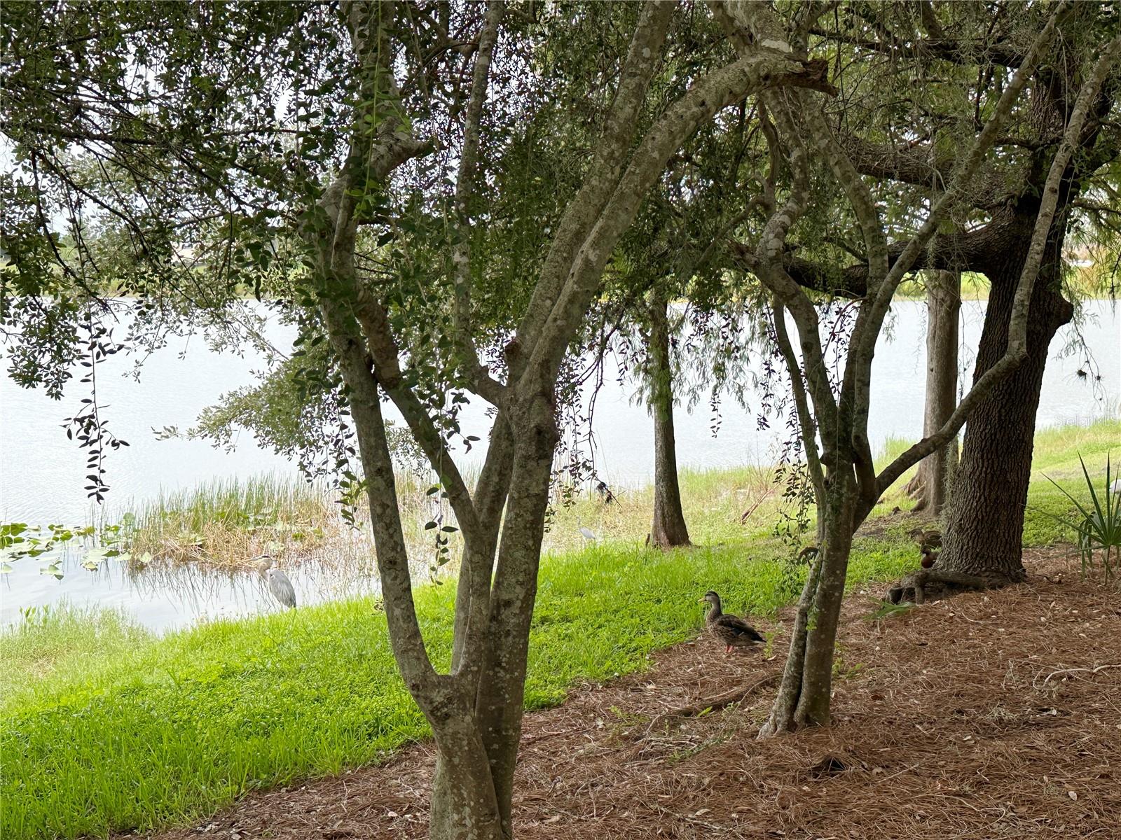 Image 55 of 64 For 5048 Shoreway Loop 10804