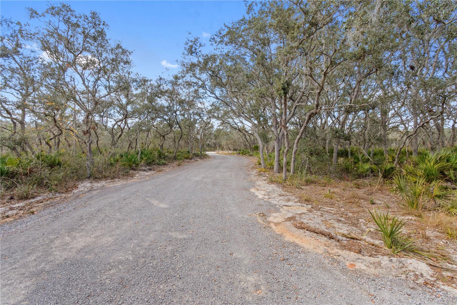 Image 37 of 37 For 2911 Sand Pine Trail