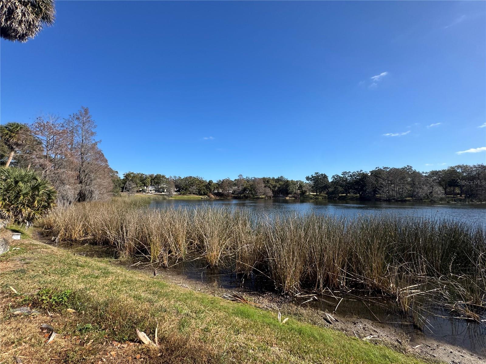 Image 46 of 47 For 120 Thornton Avenue