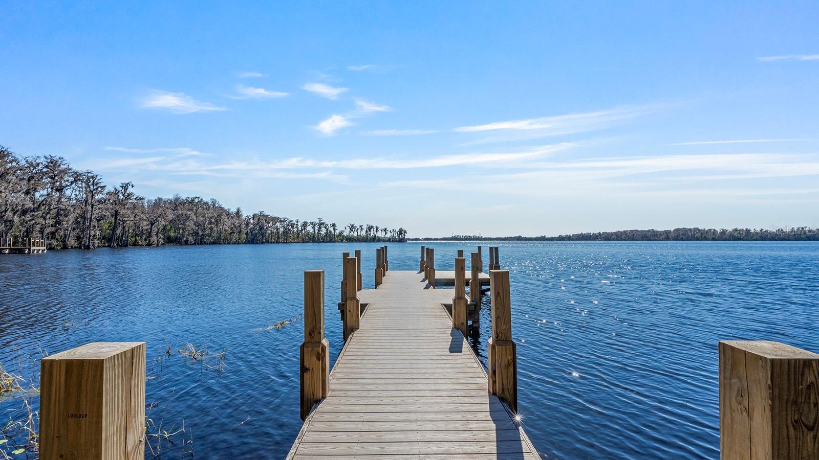 Image 4 of 63 For 881 Belfast Place