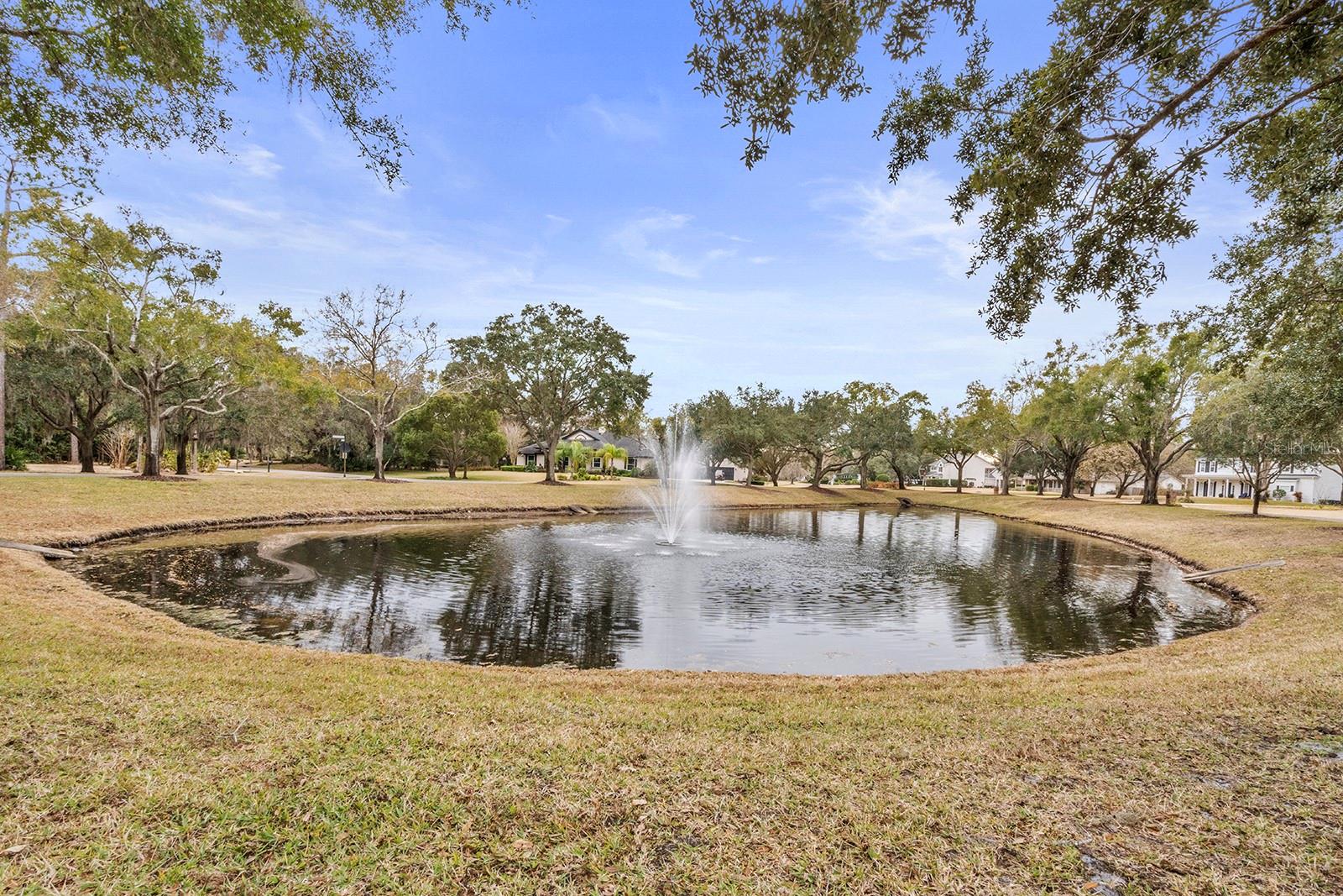 Image 48 of 63 For 881 Belfast Place