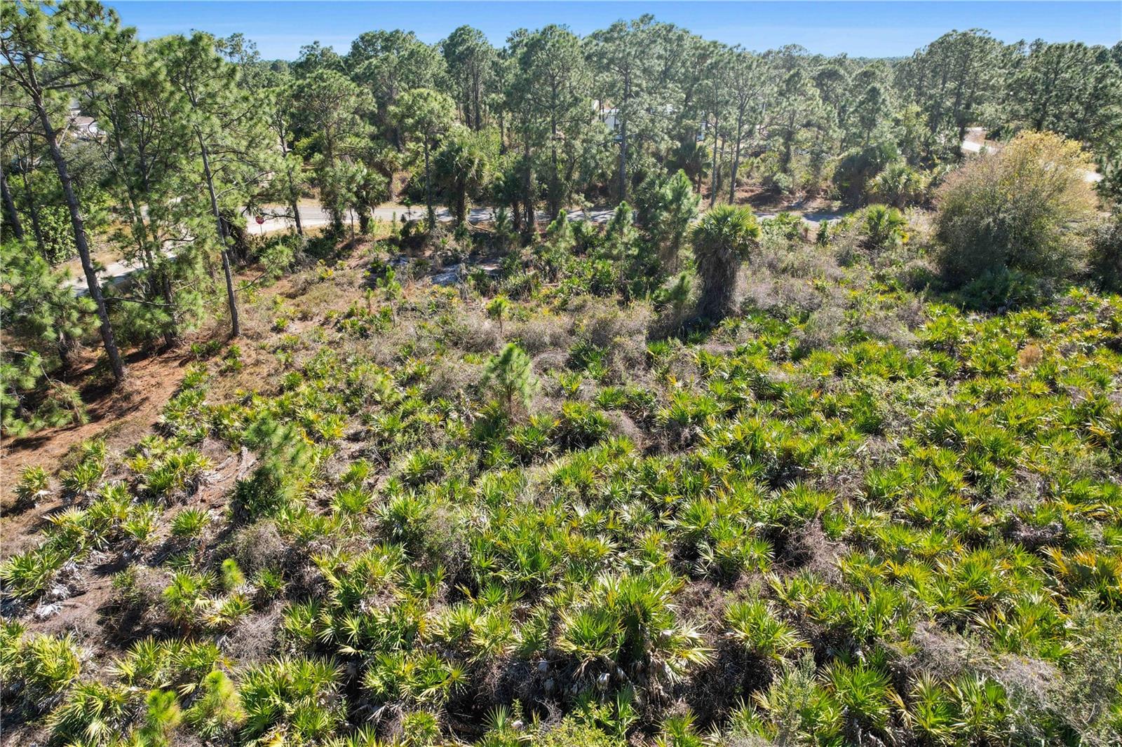 Image 19 of 21 For 774 Kirkman Avenue