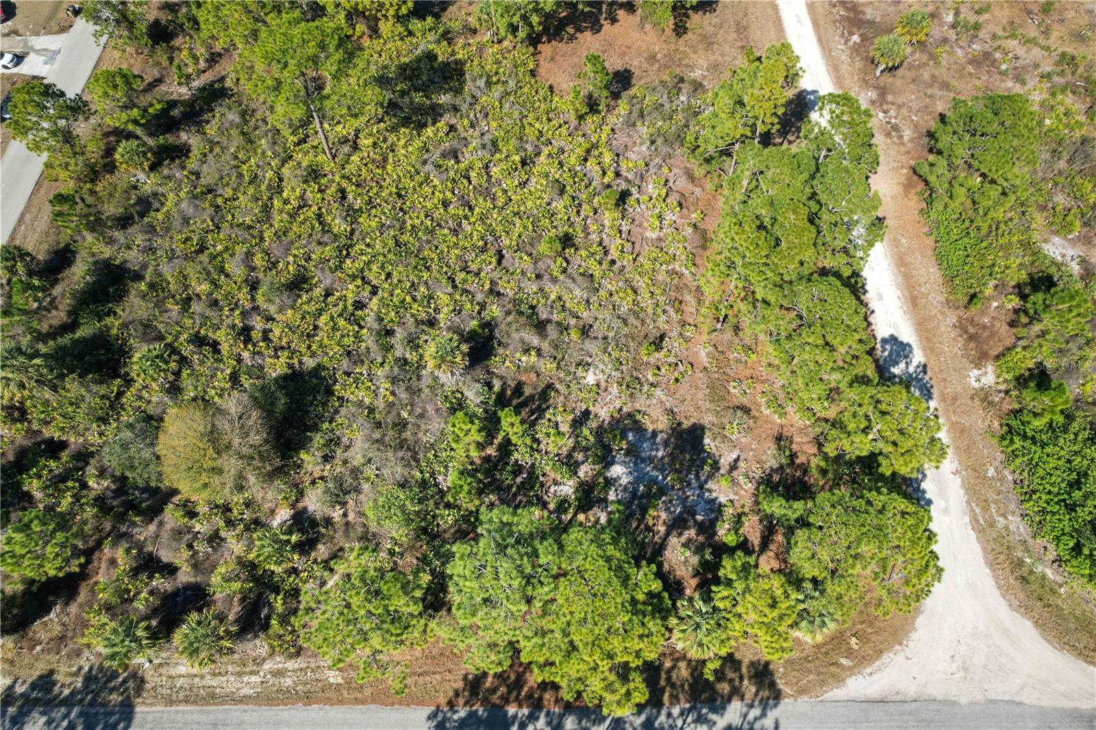 Image 21 of 21 For 774 Kirkman Avenue