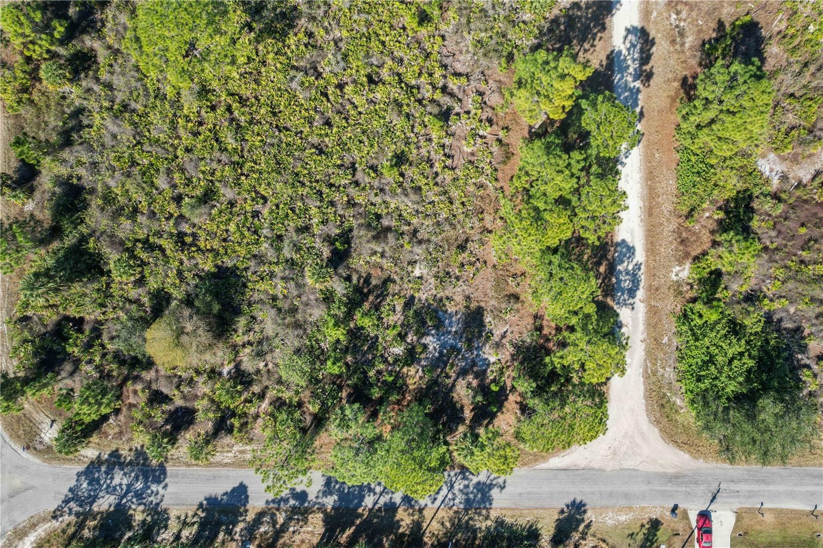 Image 9 of 21 For 774 Kirkman Avenue