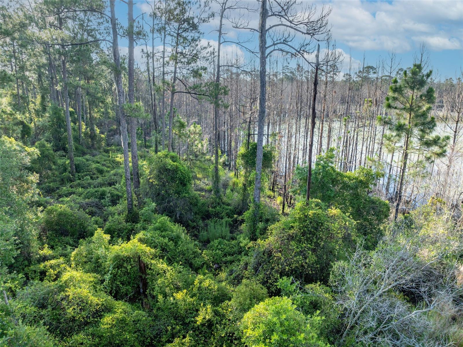 Image 3 of 5 For Melshire Avenue