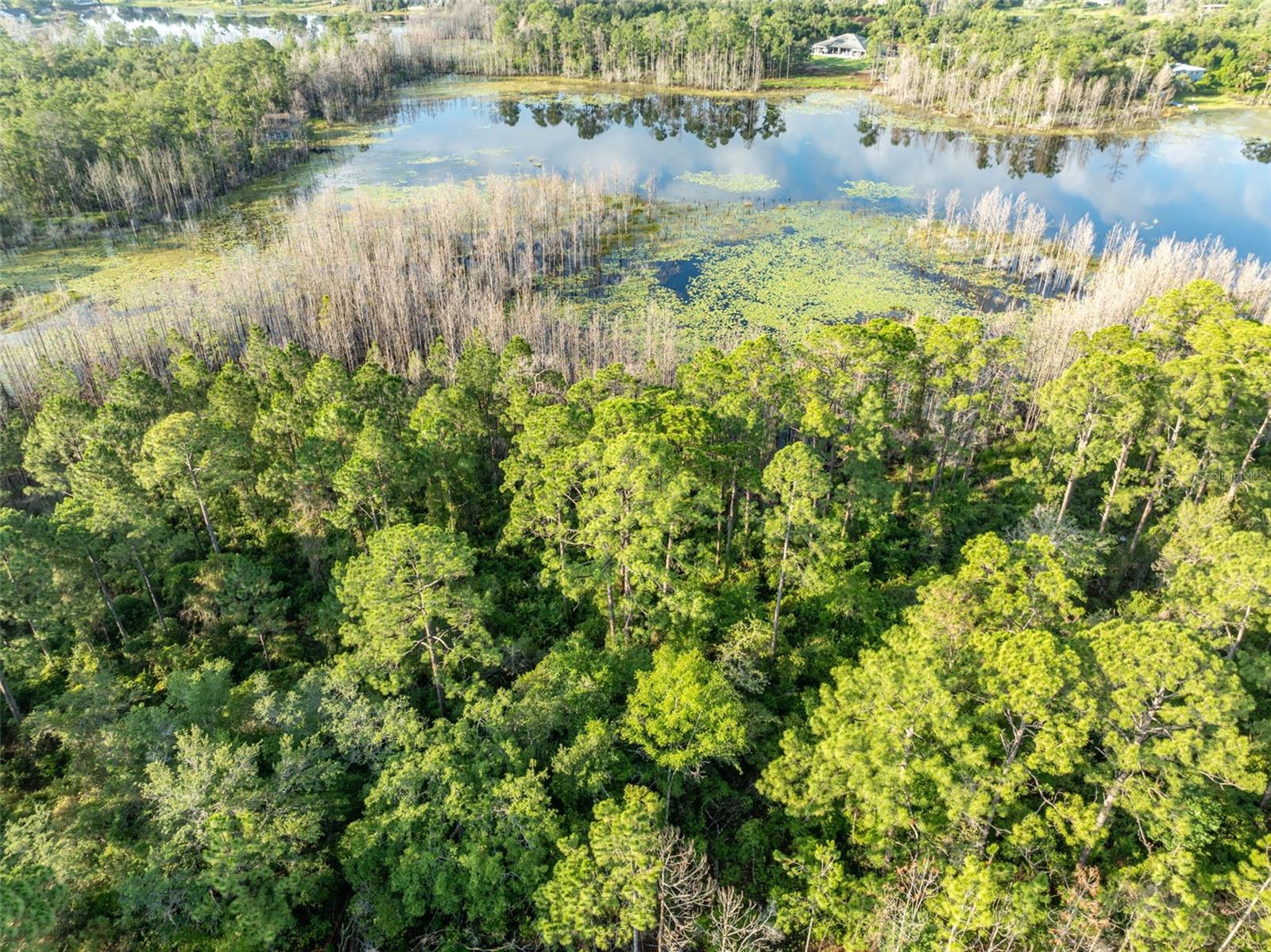 Image 5 of 5 For Melshire Avenue