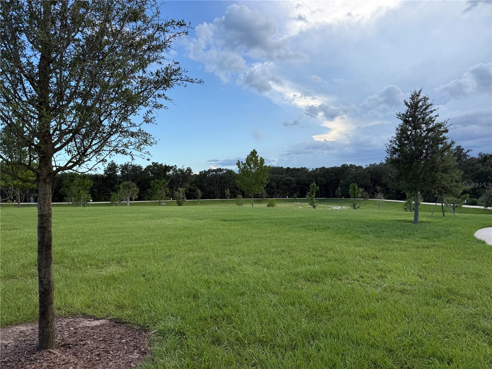 Image 10 of 19 For 4466 Davos Drive