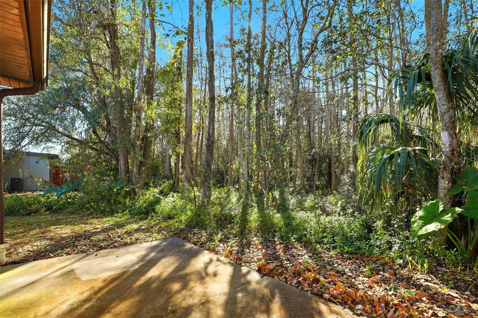 Image 27 of 33 For 1972 Bonneville Drive