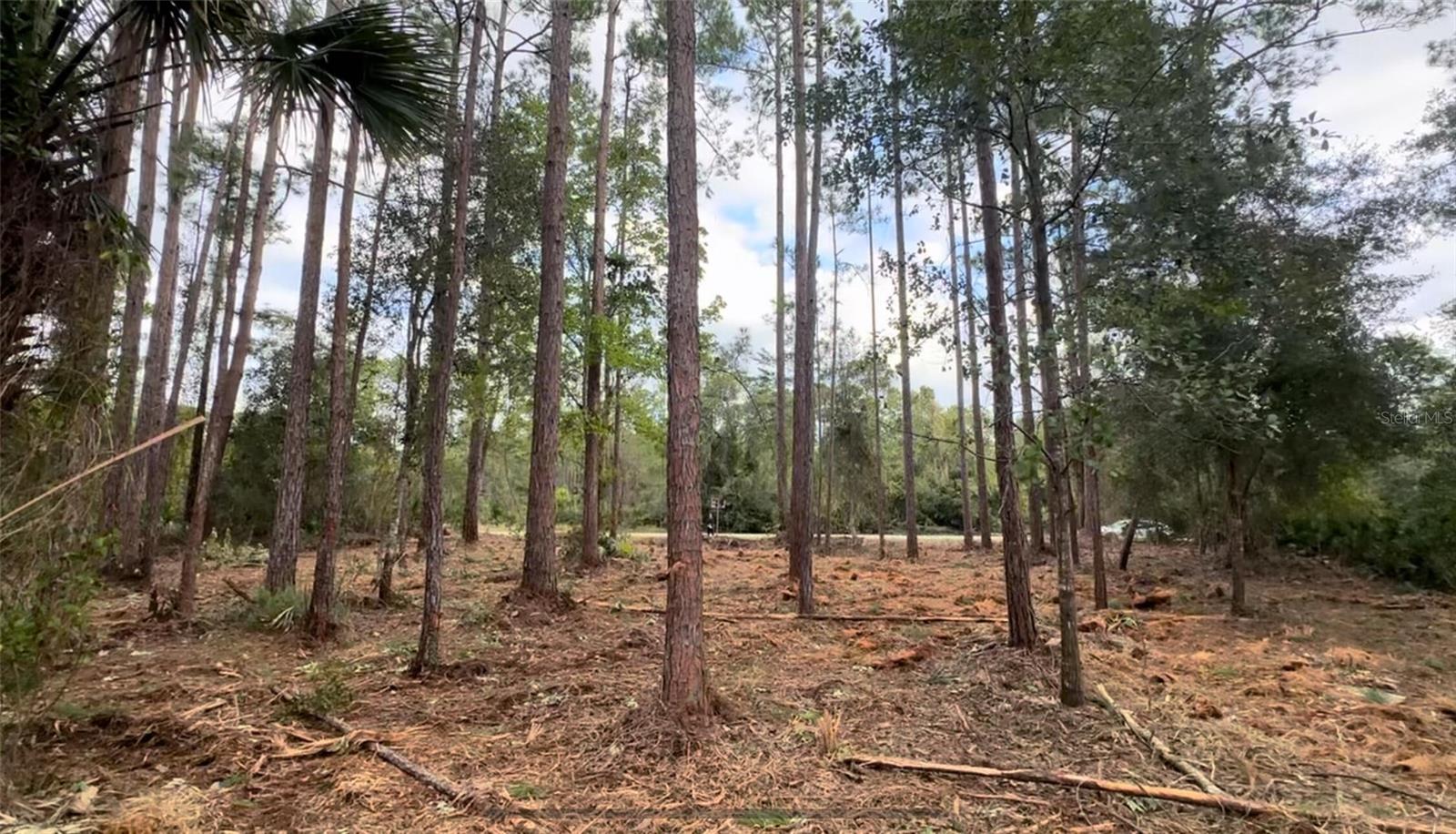 Image 5 of 11 For 107 Georgetown Point Road