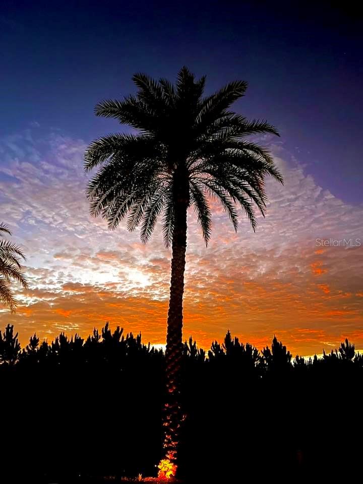 Image 25 of 39 For 328 St George Drive