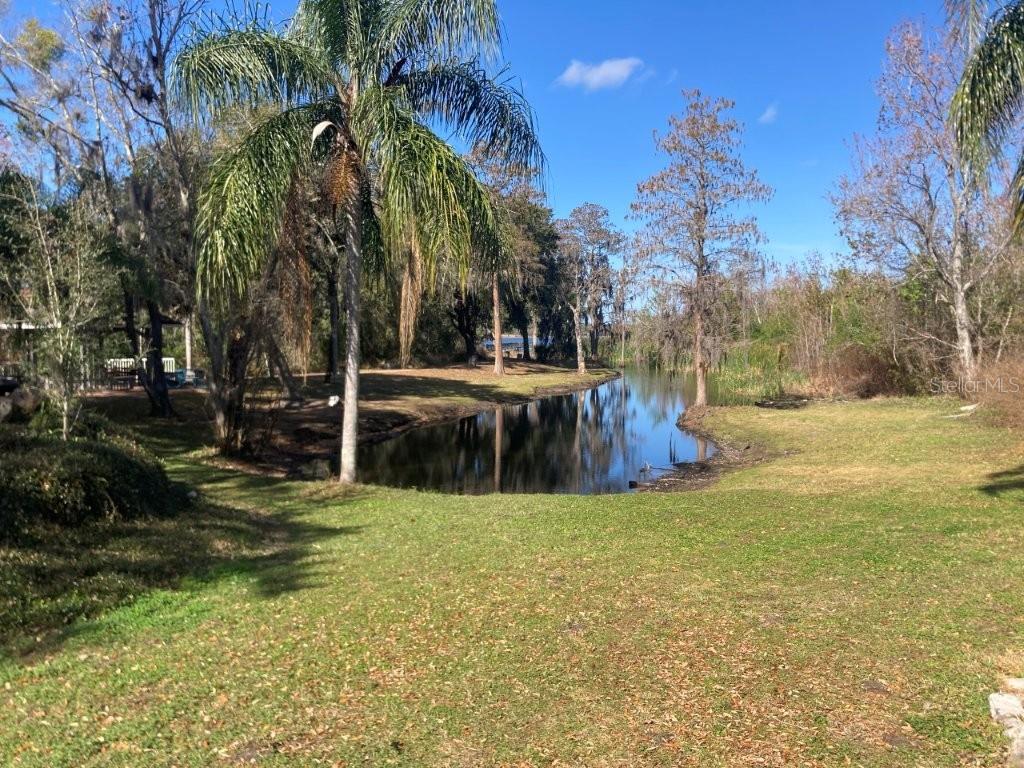 Image 21 of 28 For 4352 Kirkman Road 1211