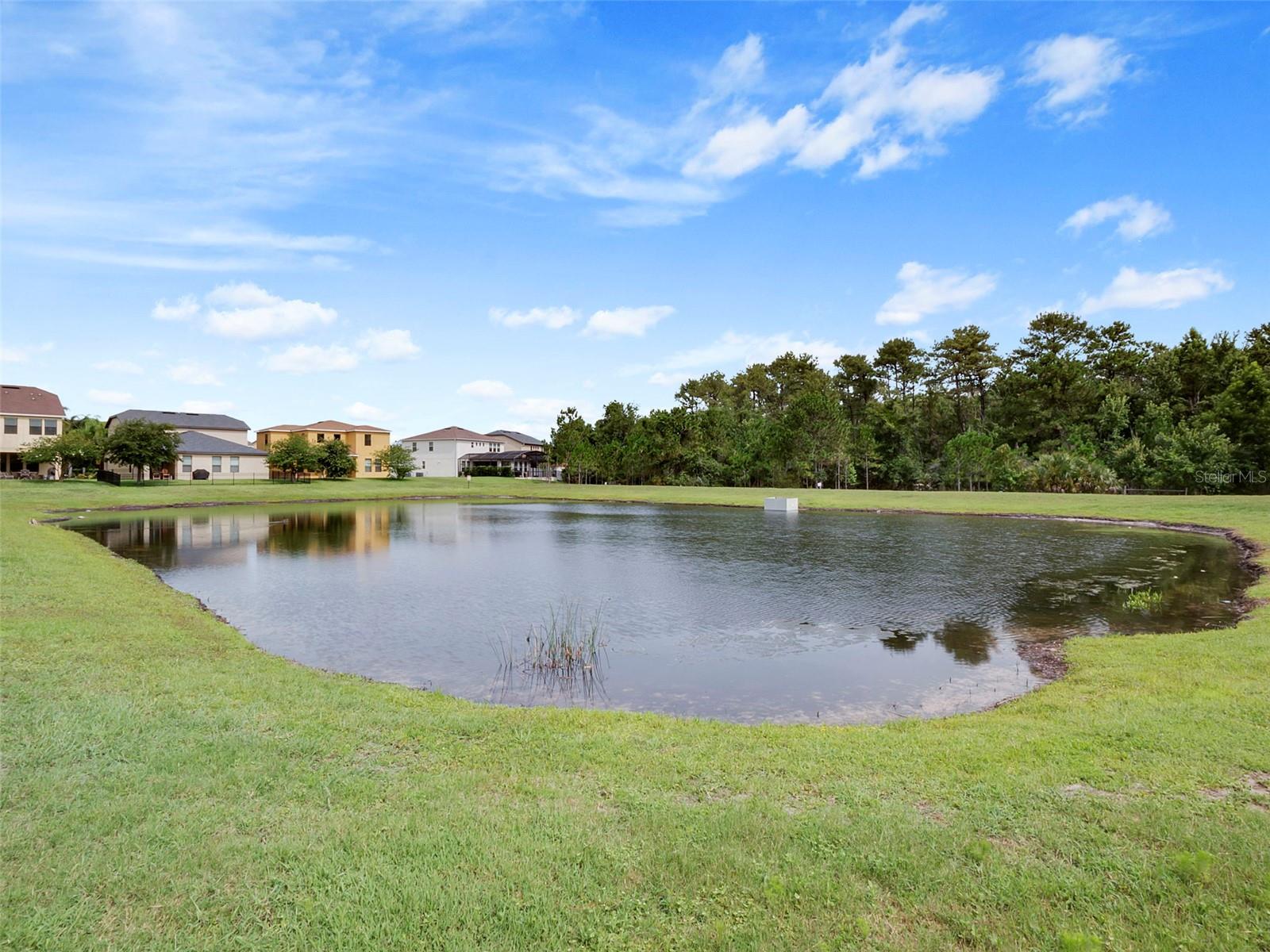 Image 37 of 37 For 901 Fountain Coin Loop