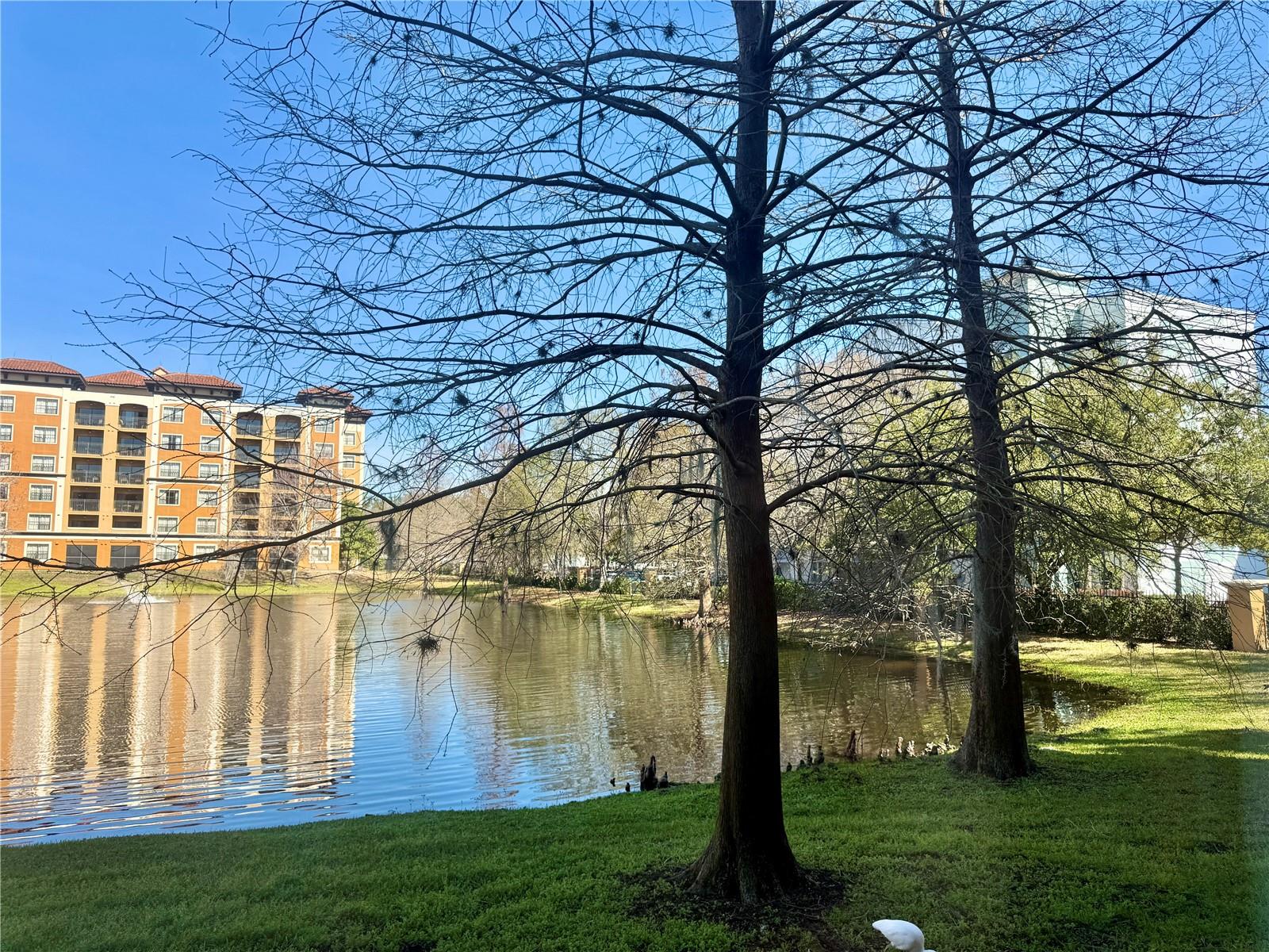 Image 49 of 68 For 12539 Floridays Resort Drive 107d