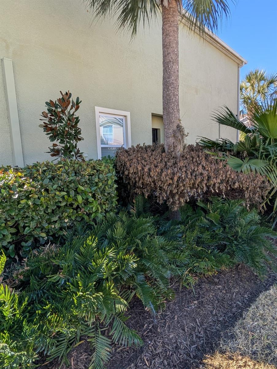 Image 4 of 30 For 273 Arbor Lakes Drive