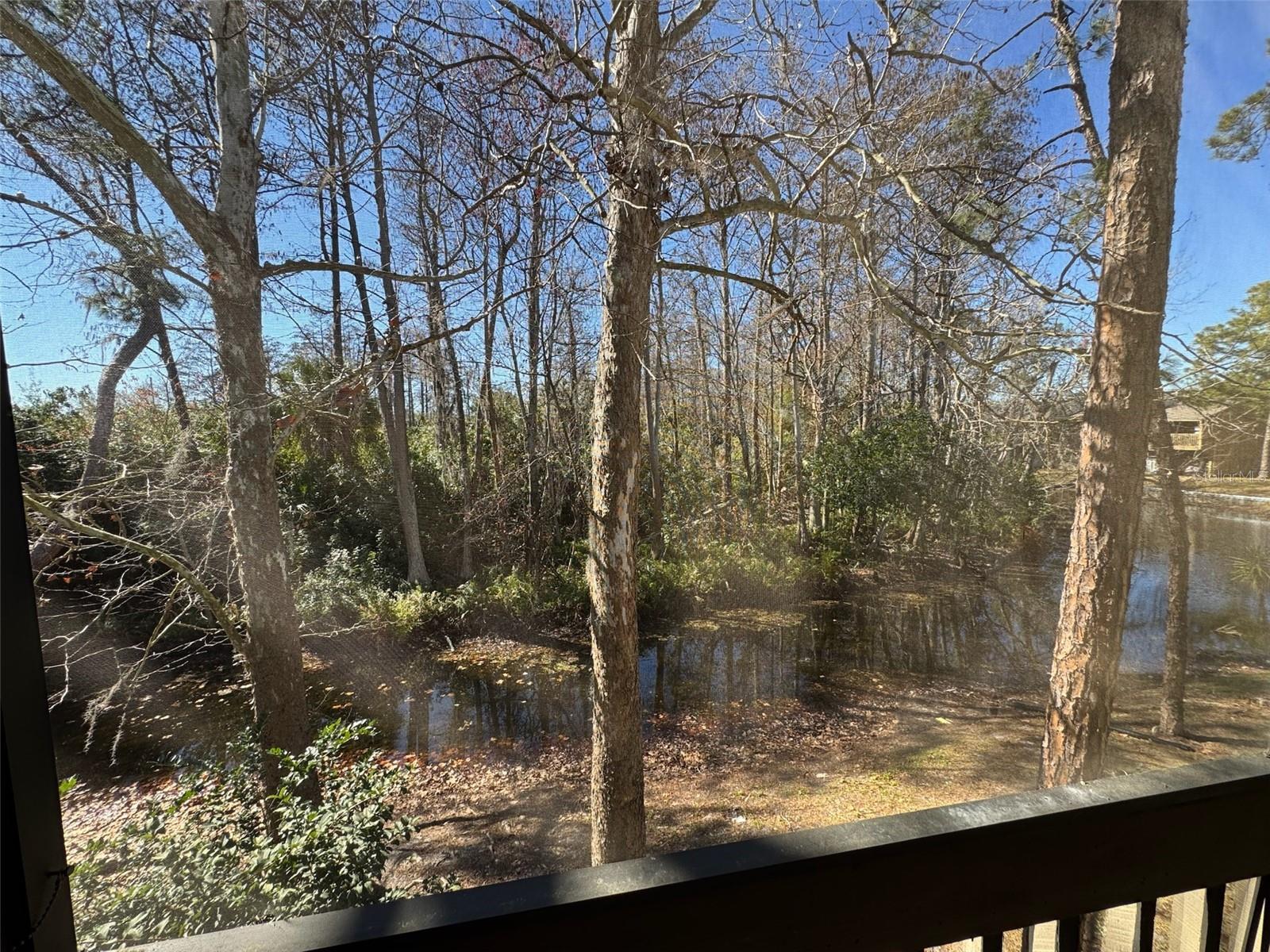 Image 20 of 21 For 4842 Pebble Beach Drive 1006c