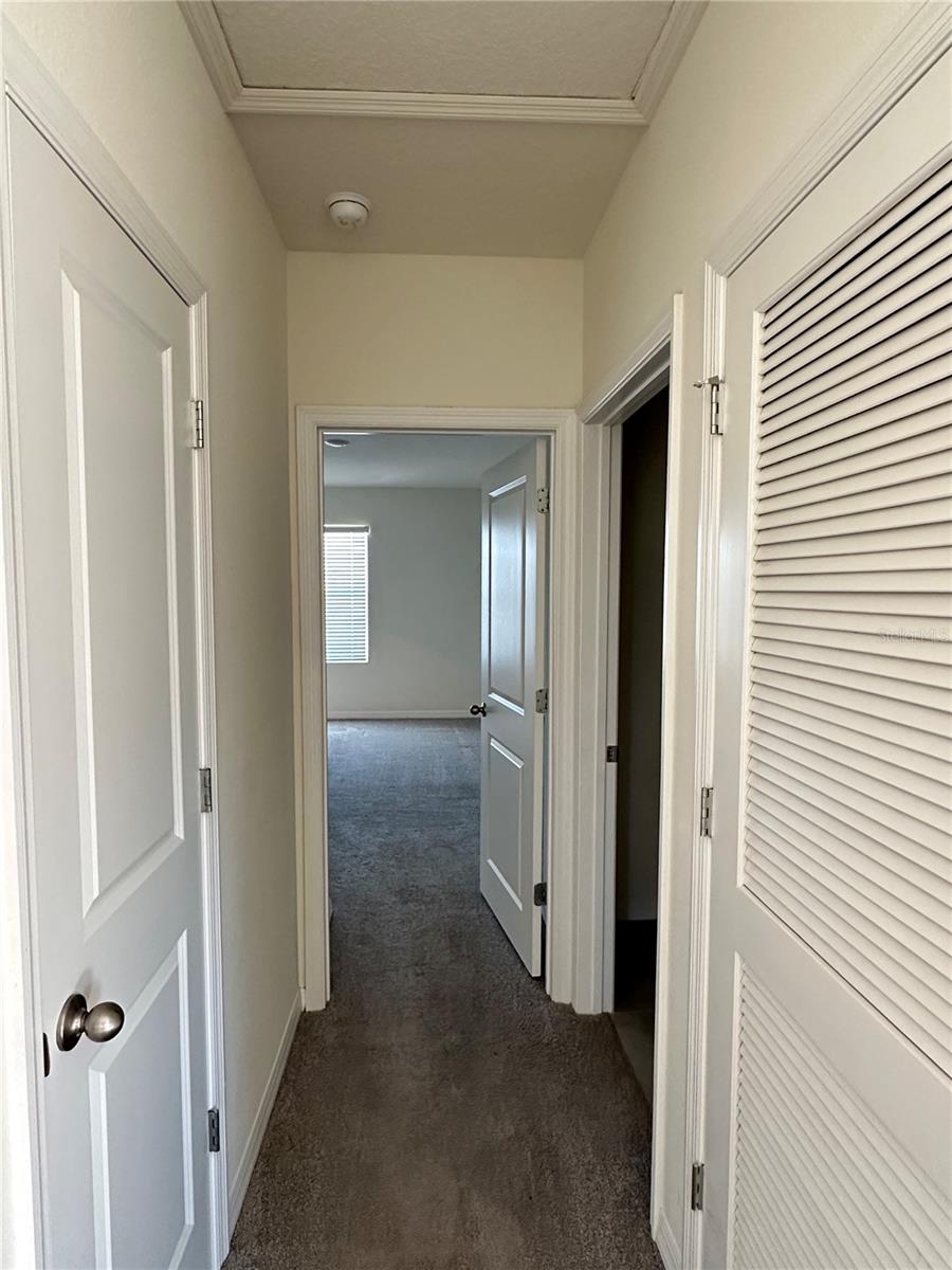 Image 11 of 21 For 30915 Penny Surf Loop