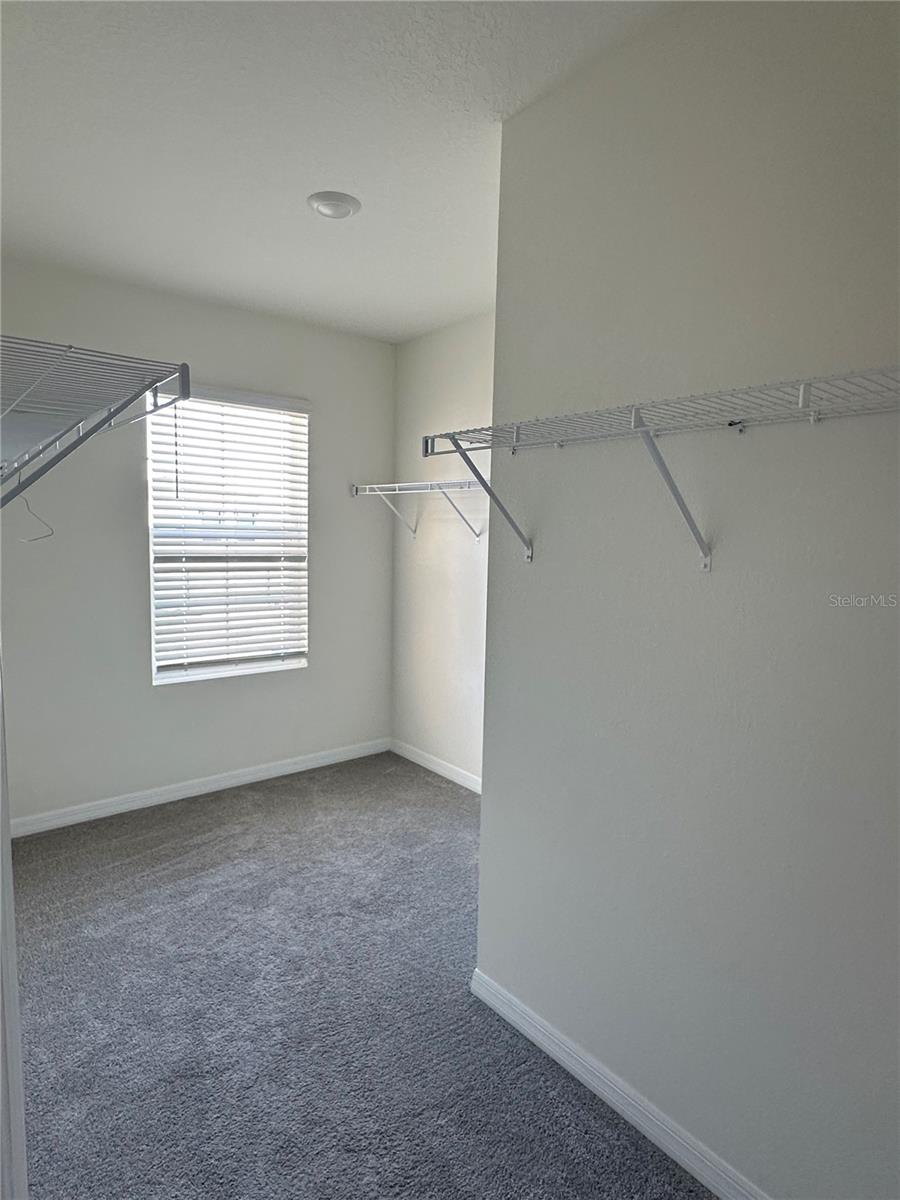 Image 15 of 21 For 30915 Penny Surf Loop