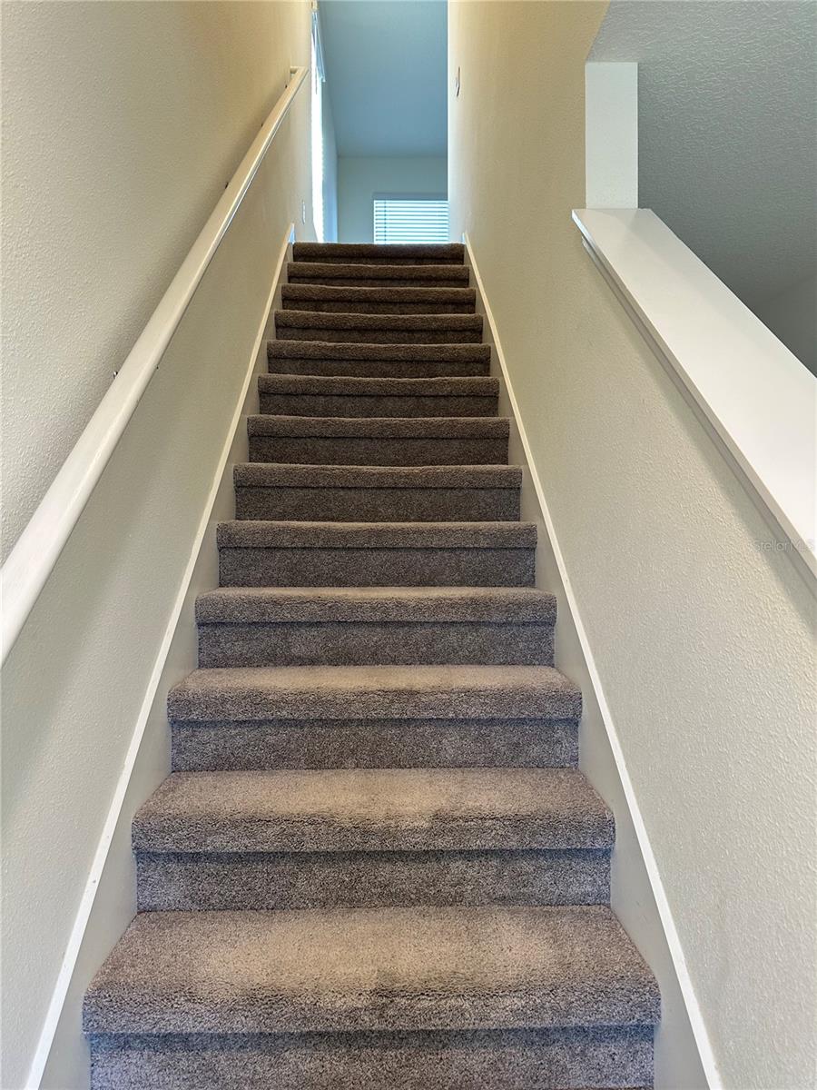 Image 8 of 21 For 30915 Penny Surf Loop