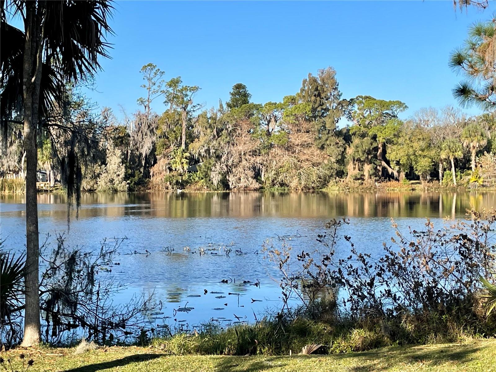 Image 6 of 37 For 301 Avenue E