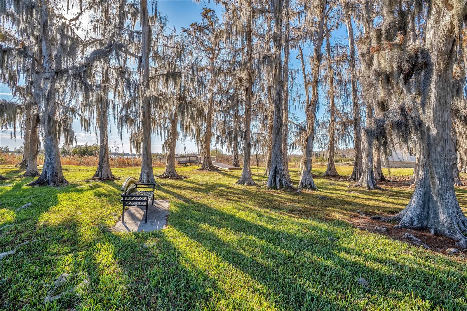 Image 81 of 100 For 10420 Wittenberg Way