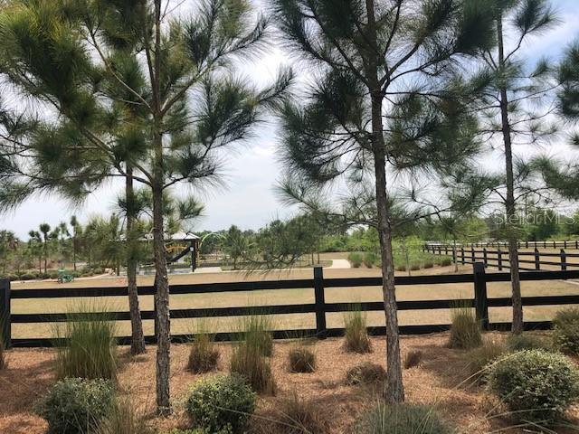 Listing photo id 35 for 10841 Derringer Drive