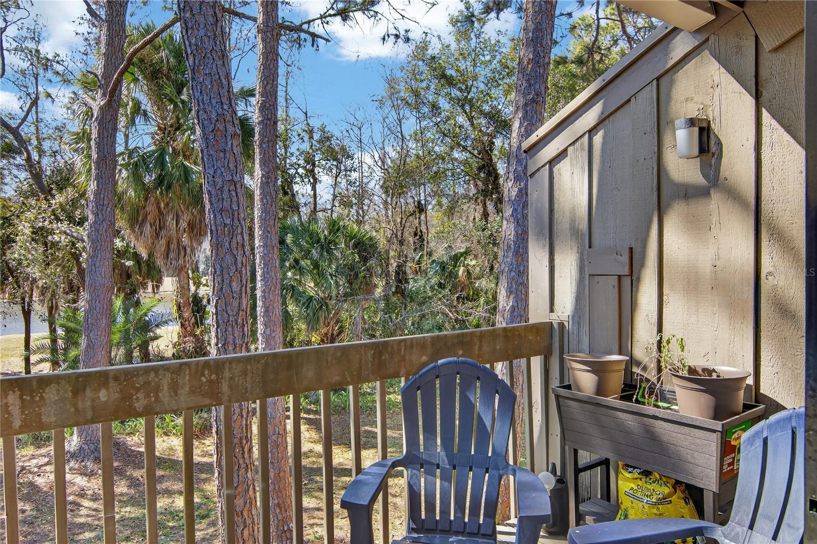 Image 18 of 48 For 5356 Burning Tree Drive D-07-2