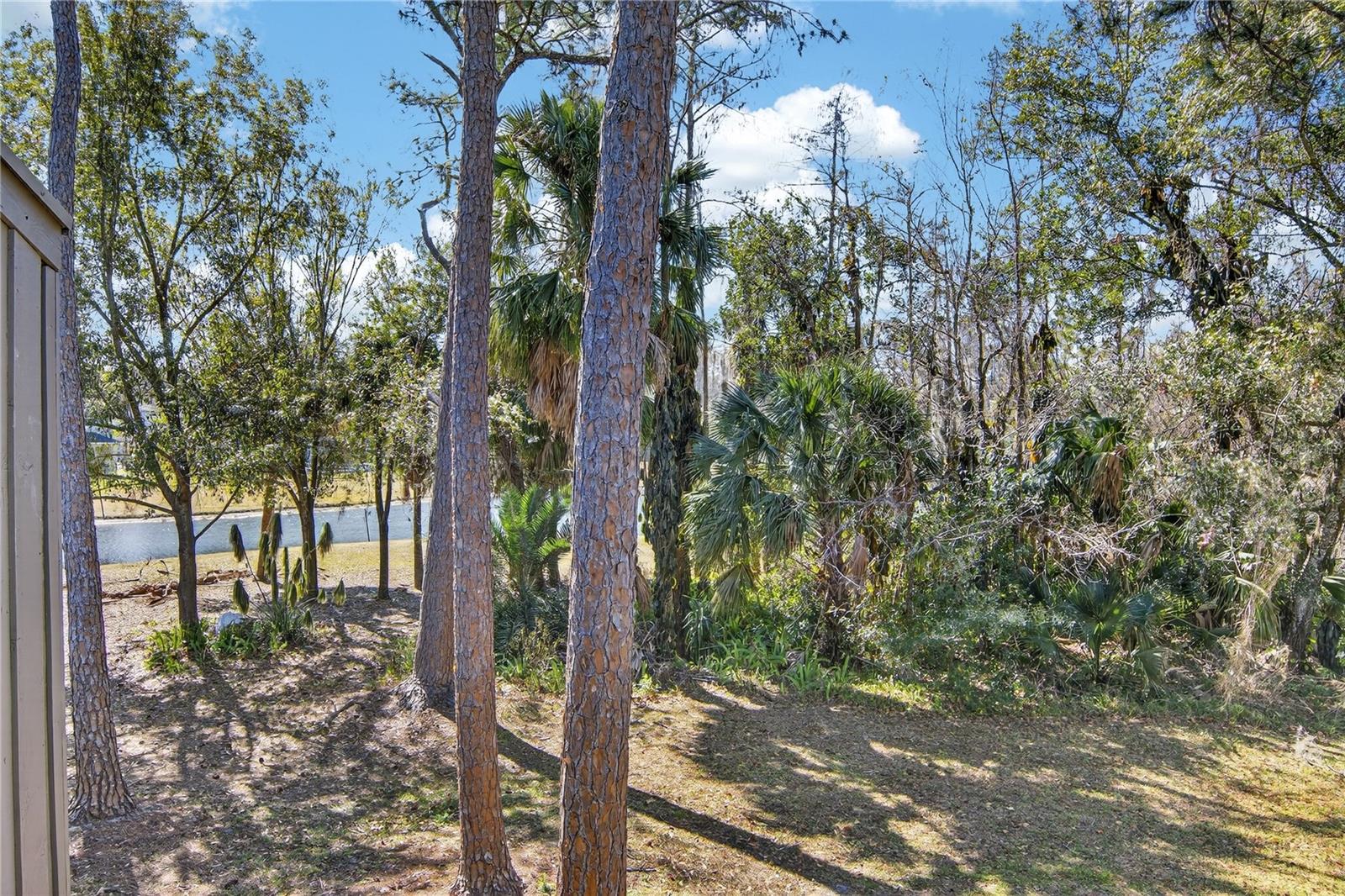 Image 45 of 48 For 5356 Burning Tree Drive D-07-2