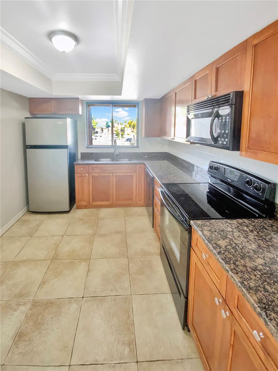 Image 5 of 24 For 705 Village Drive N 205