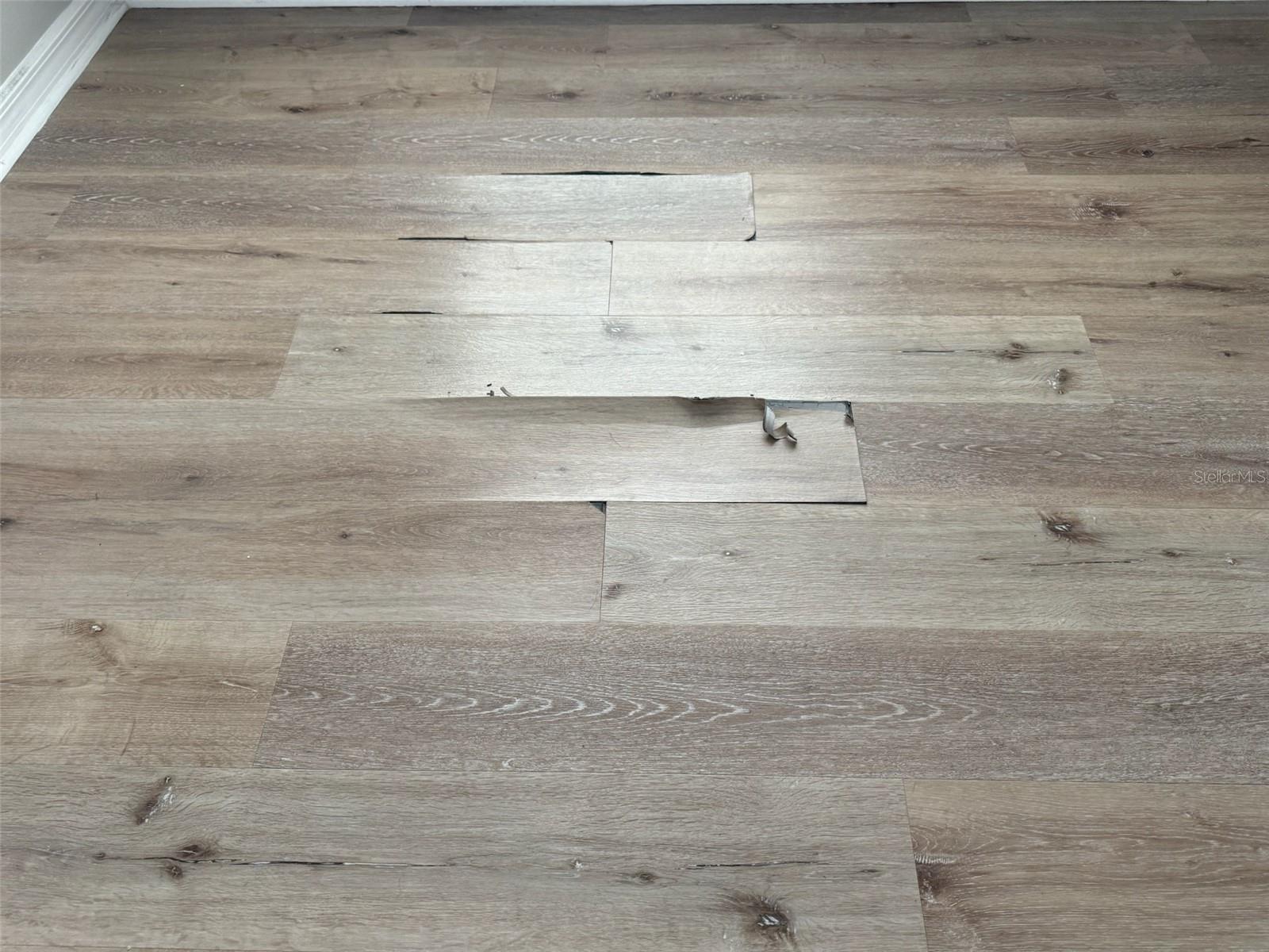 Image 31 of 59 For 12825 Tikal Way