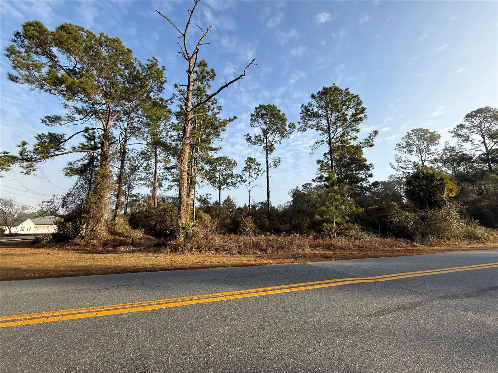 Image 2 of 5 For Thyme Avenue