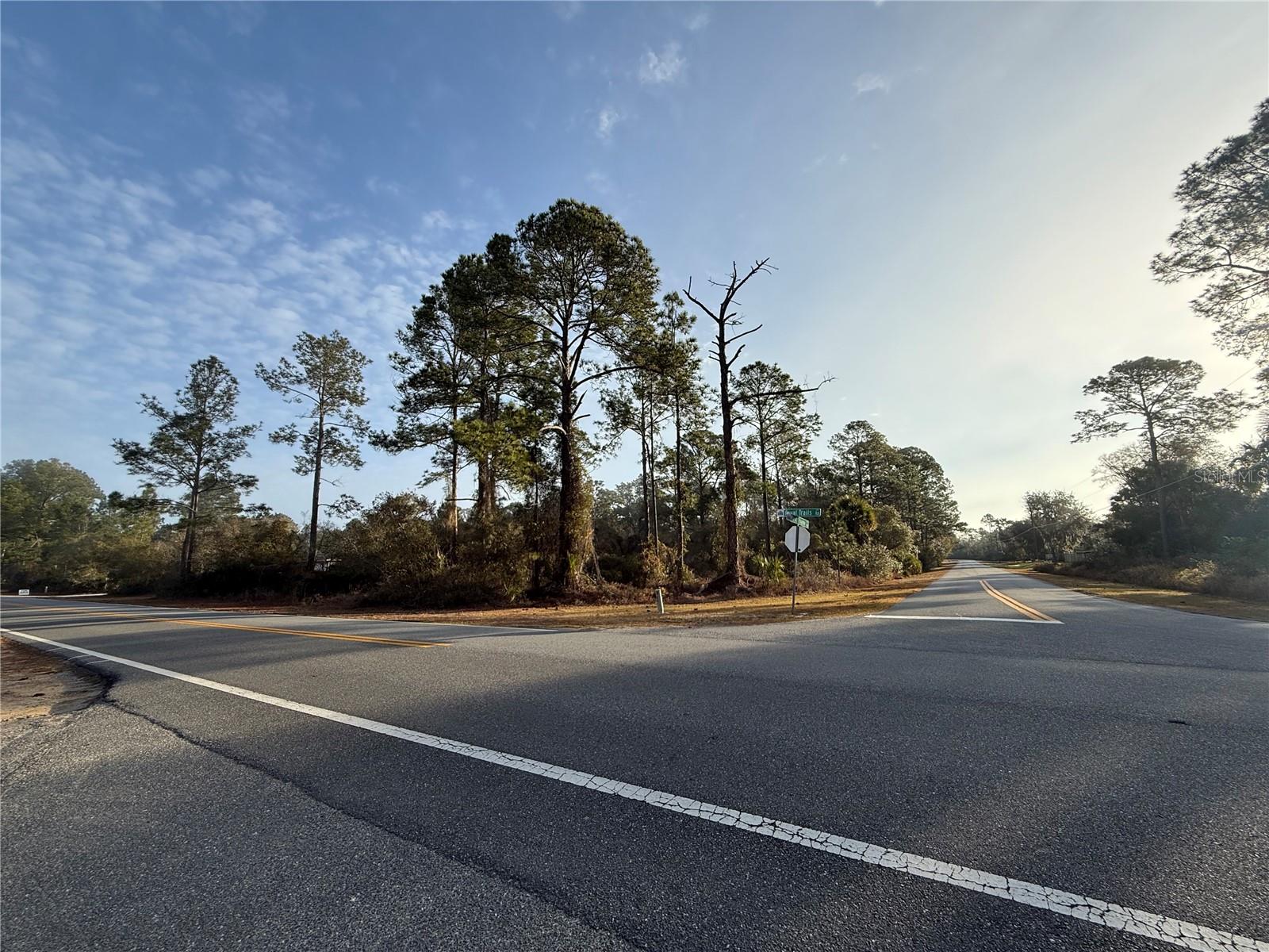 Image 3 of 5 For Thyme Avenue