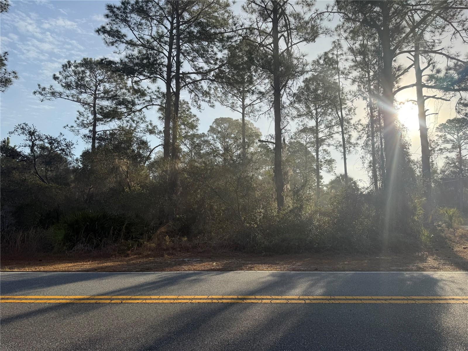 Image 4 of 5 For Thyme Avenue