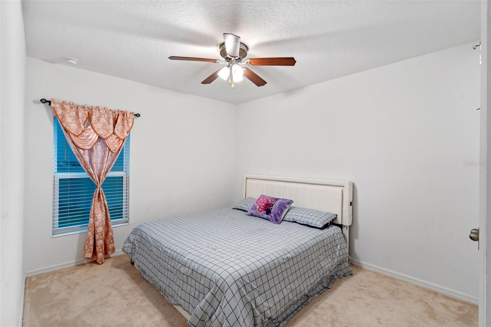 Image 19 of 35 For 189 Luxmore Road