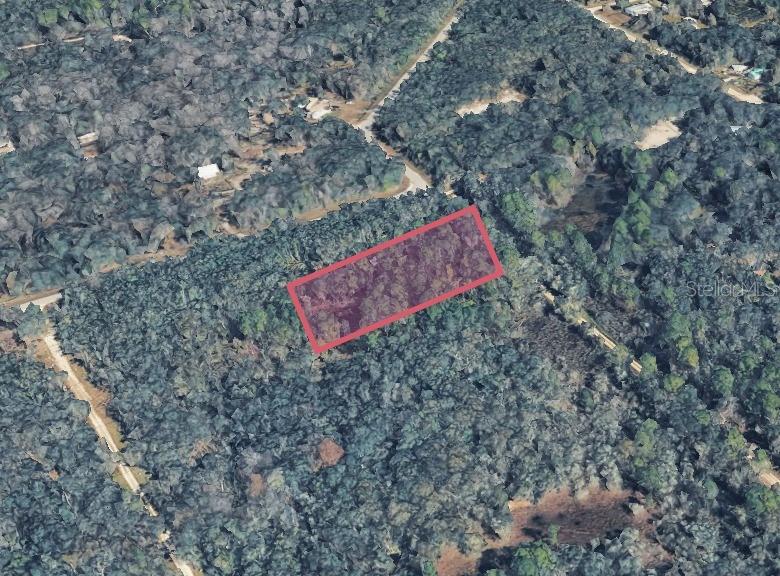 Details for 9211 Rousseau Street, WEBSTER, FL 33597