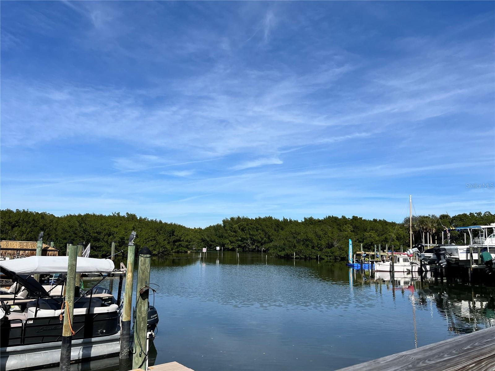 Image 39 of 48 For 1000 Cove Cay Drive 5e