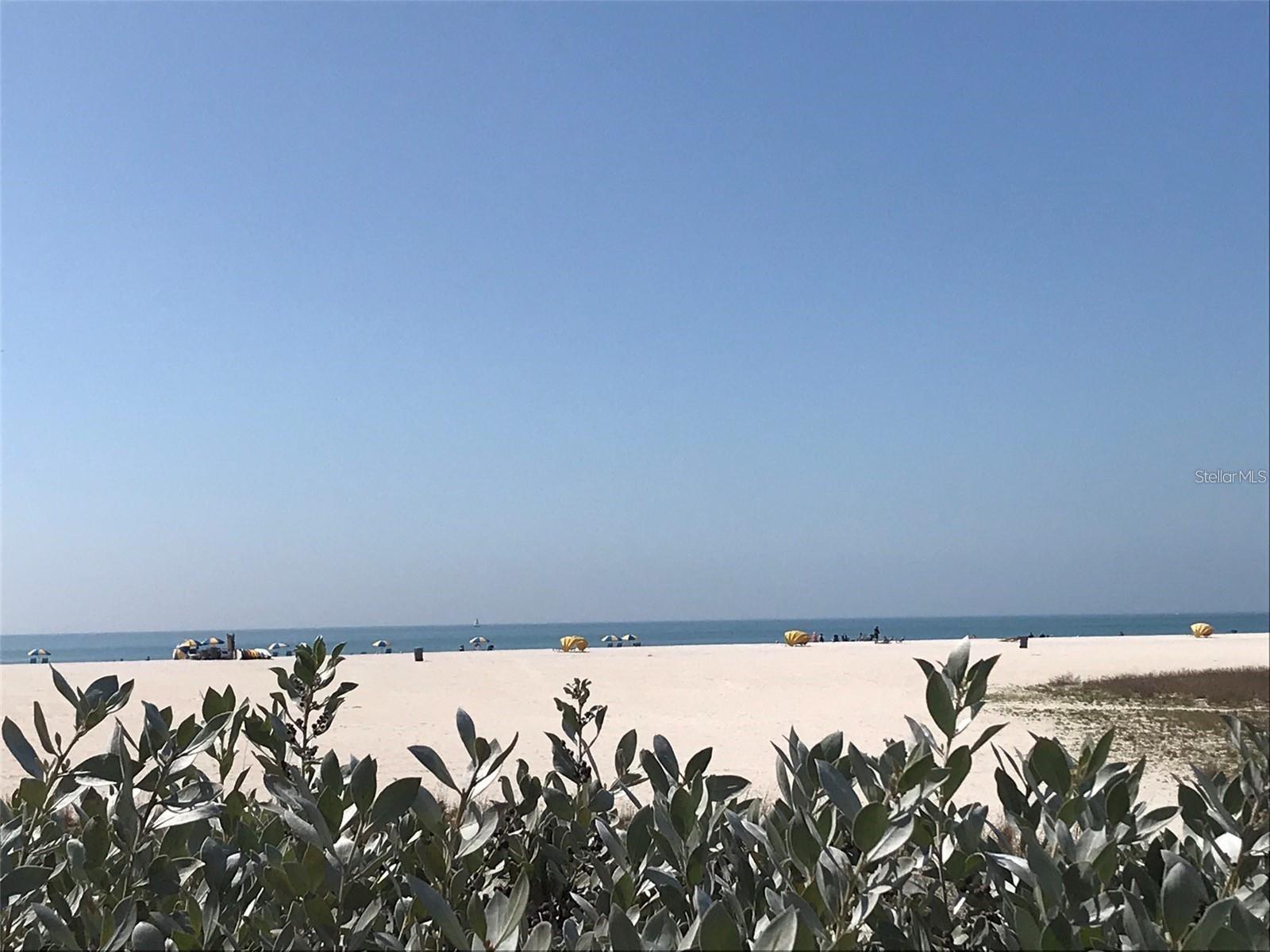 Image 42 of 48 For 1000 Cove Cay Drive 5e