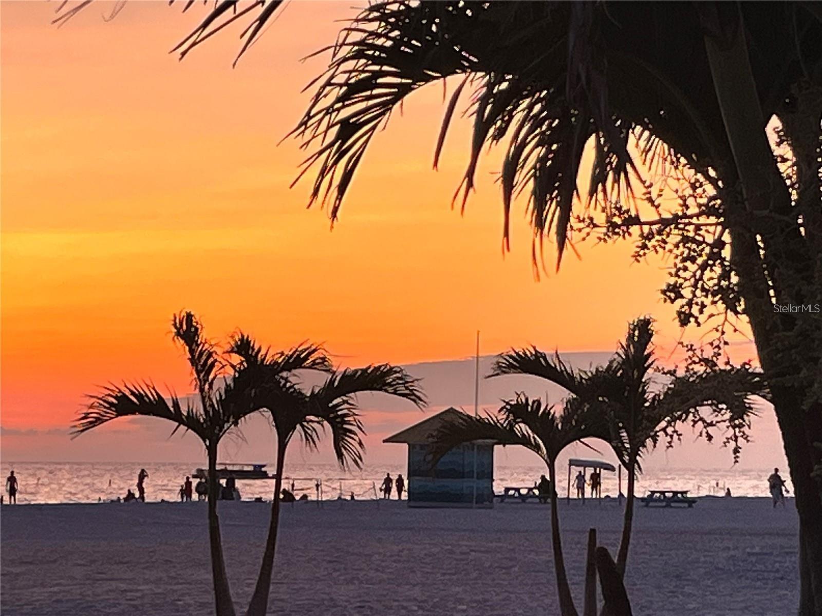 Image 44 of 48 For 1000 Cove Cay Drive 5e