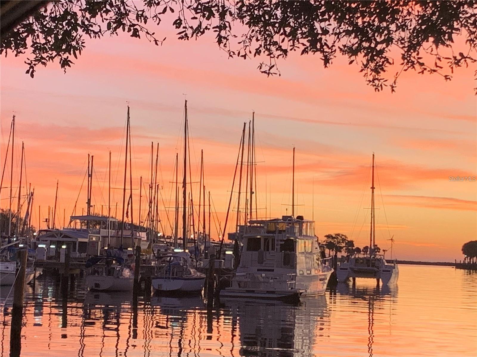 Image 46 of 48 For 1000 Cove Cay Drive 5e