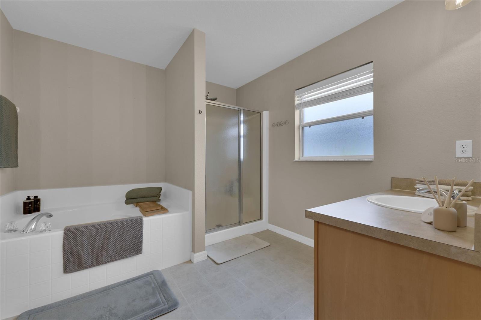 Image 24 of 29 For 1033 Twisted Branch Lane